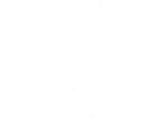 Logo Blanc BlueTechShow