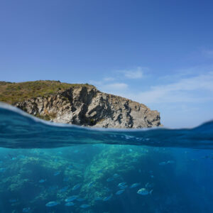 Pack Communication digitale