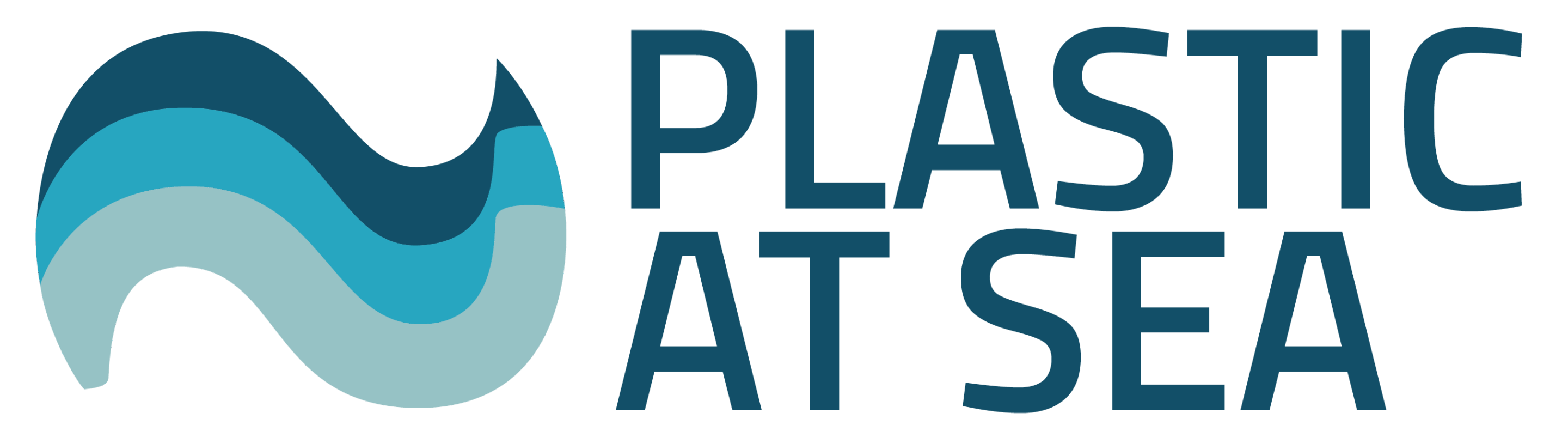 PAS Logo Horizontal scaled