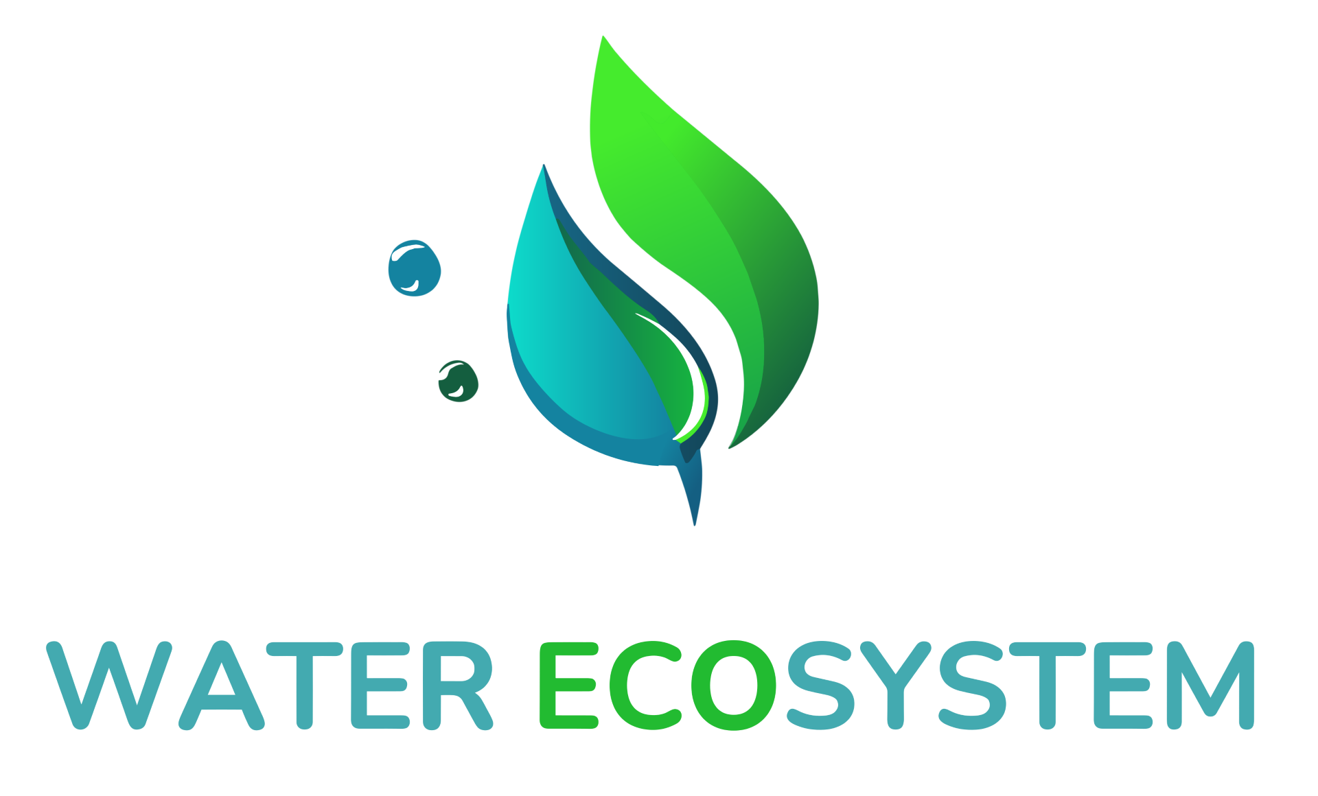 water ecosystem