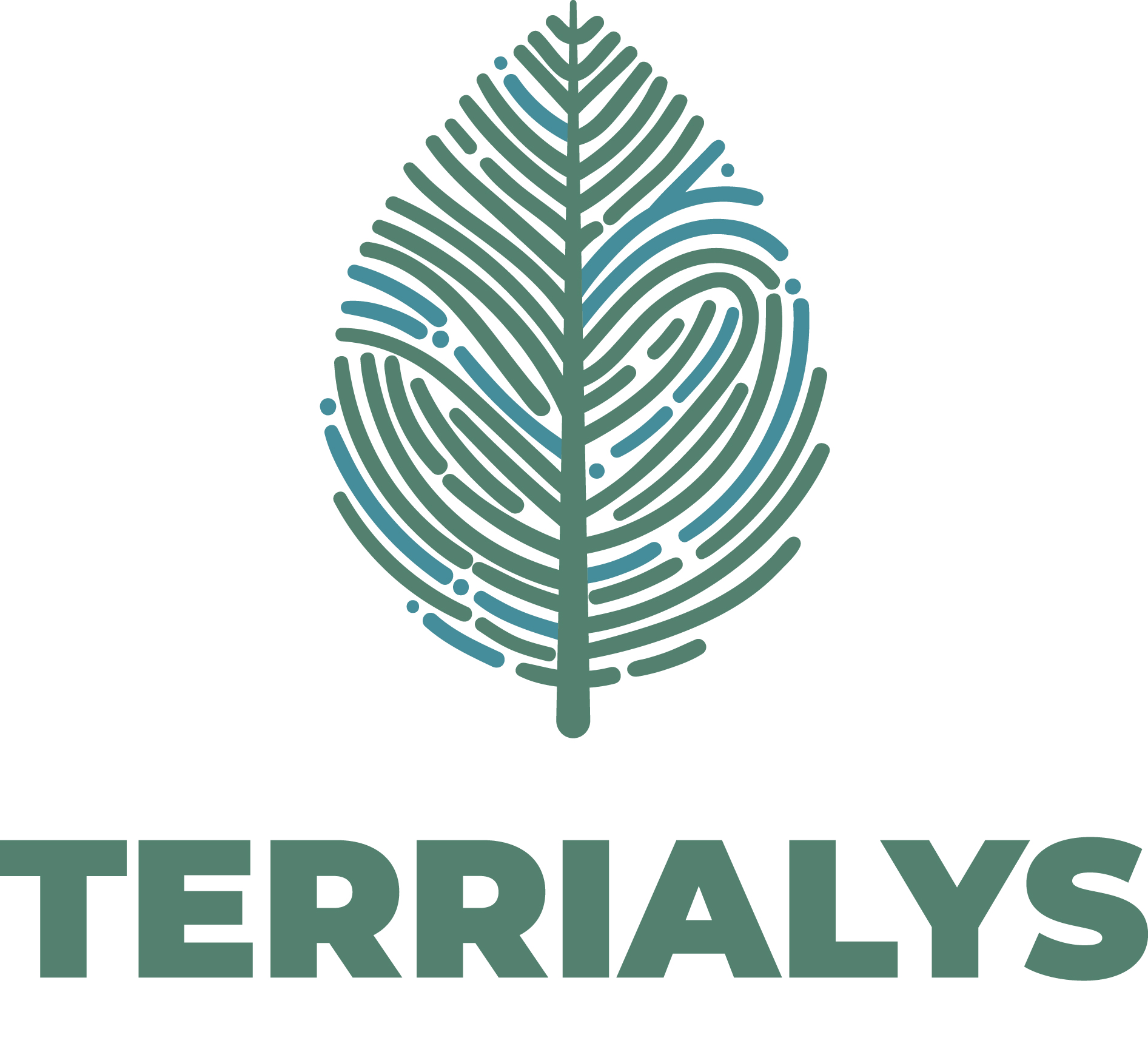 TERRIALYS – LOGO OCTOBRE 2025 RVB-VERTICAL